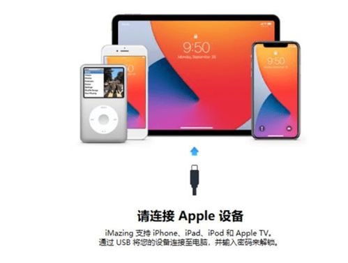 Imazing2024免費(fèi)版 高效的計(jì)算機(jī)數(shù)據(jù)遷移與管理工具
